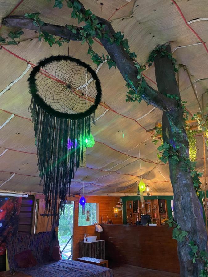 A Lounge Hostel And Cafe Ella Εξωτερικό φωτογραφία