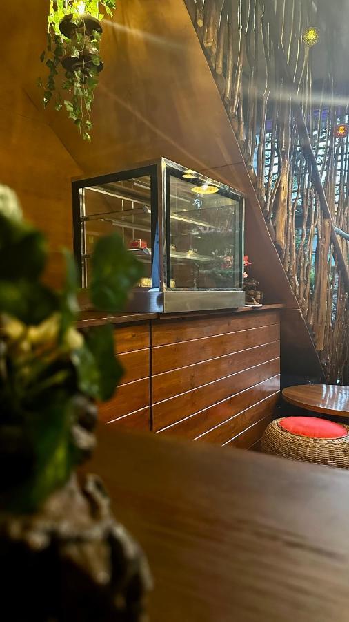 A Lounge Hostel And Cafe Ella Εξωτερικό φωτογραφία