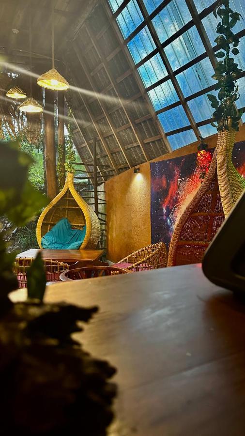 A Lounge Hostel And Cafe Ella Εξωτερικό φωτογραφία