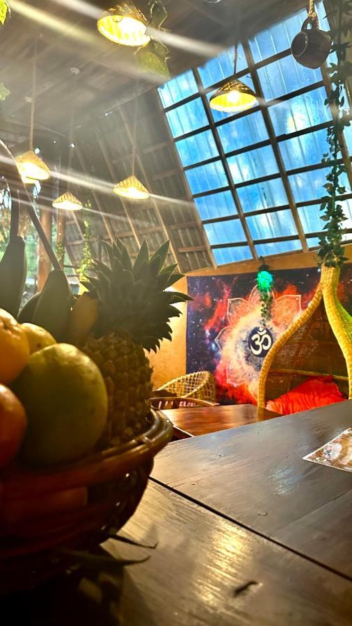 A Lounge Hostel And Cafe Ella Εξωτερικό φωτογραφία